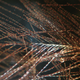 Illustration for article titled Dinosaur Feathers Discovered in Canadian Amber